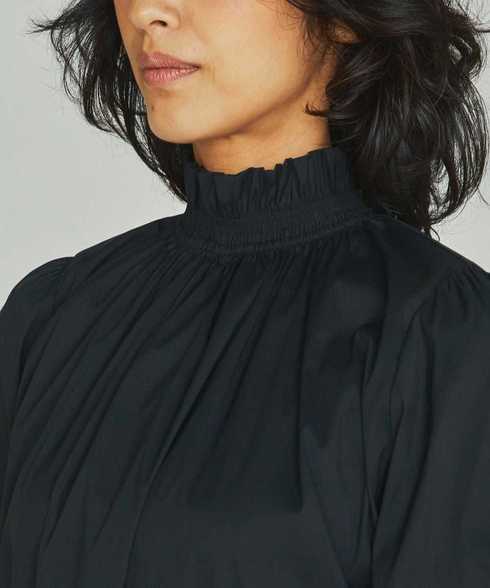 DSC /スタンドカラーフリルブラウス TOPS Night STORE | ダブル